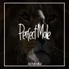 Ari Mindful - Perfect Male Subliminals - EP